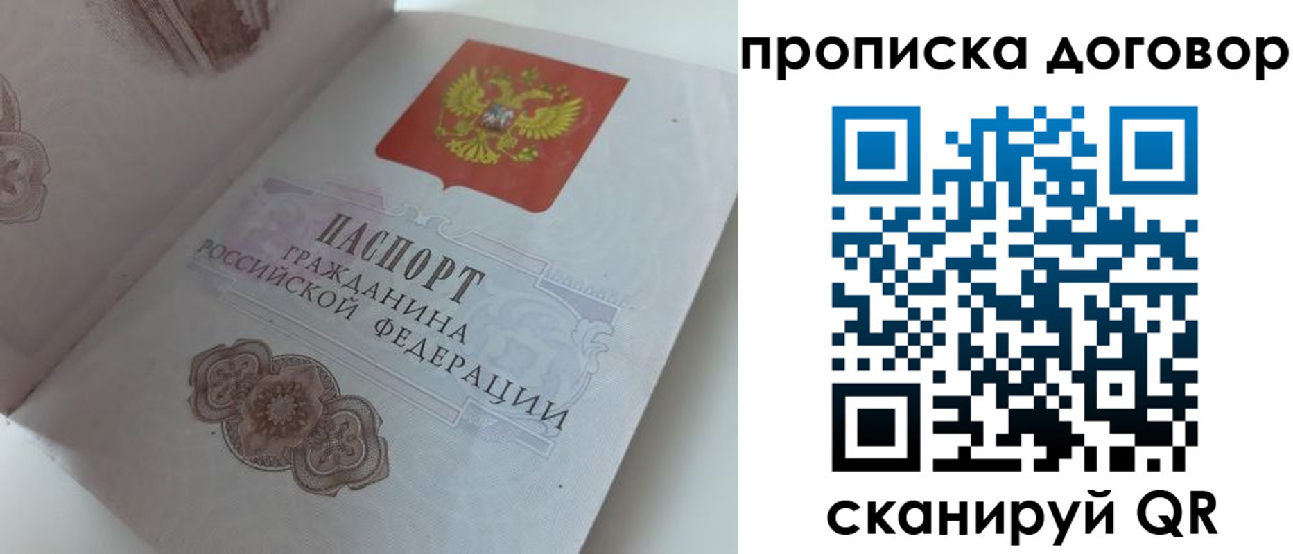прописка поиск в Майкопе